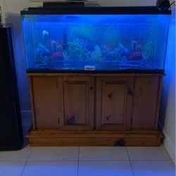 Aquarium 55 Gallon. With Filter And LED Light