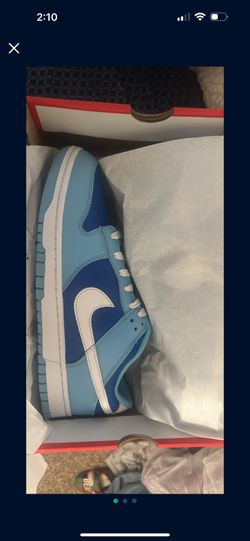 Argon Dunk Low Size 12 New In Box 
