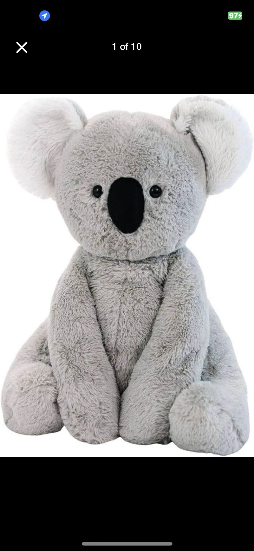 Hello Koala