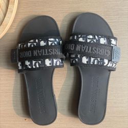 Dior Revolution Slides 