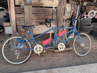 Roland 2 seat bike