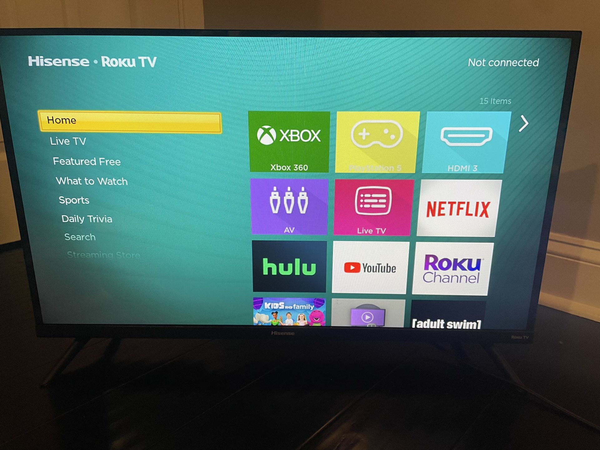 Roku Hisense 32 Inch TV (barley used)