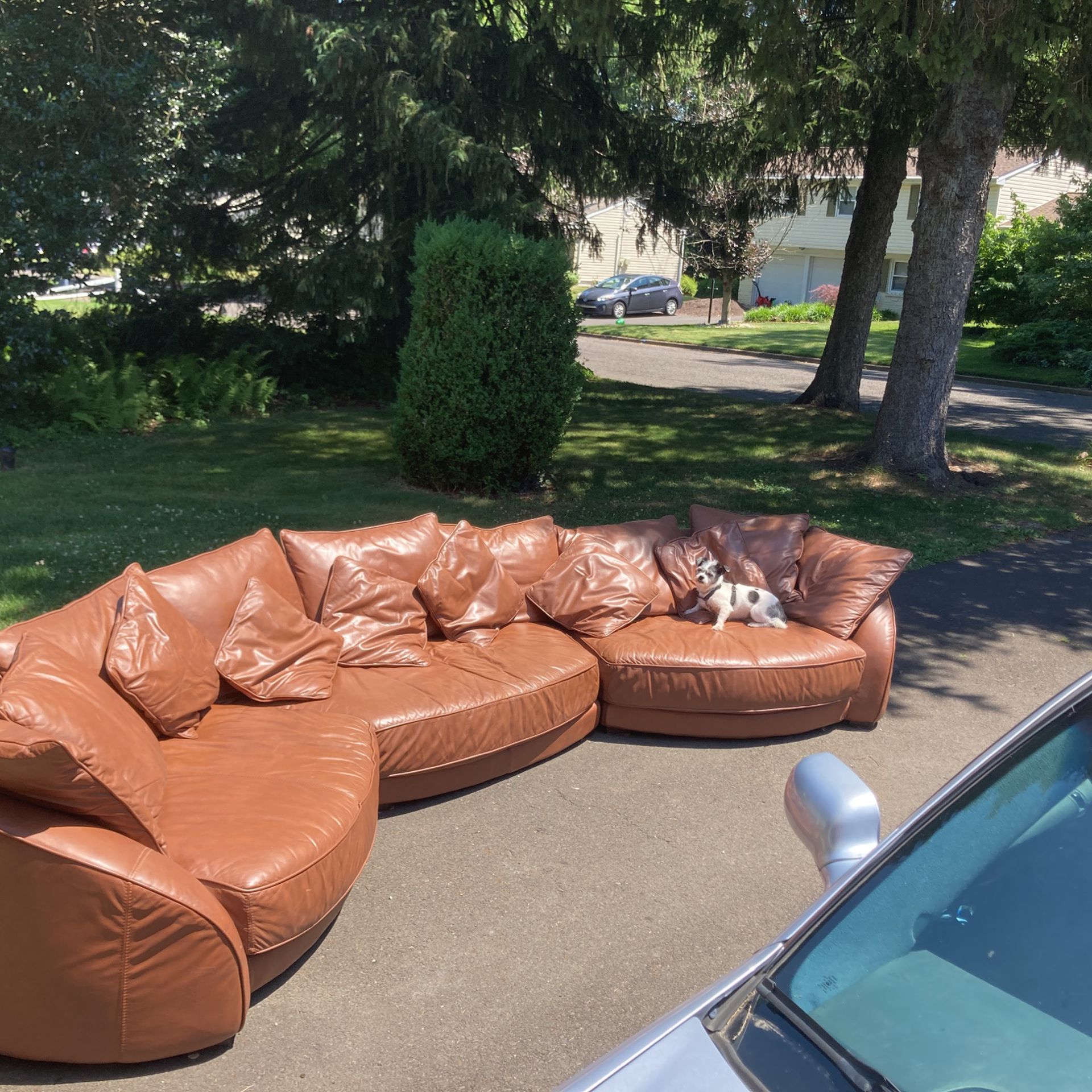  Leather Sofa - Carmel Color