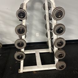 Fixed Barbells Set With Rack