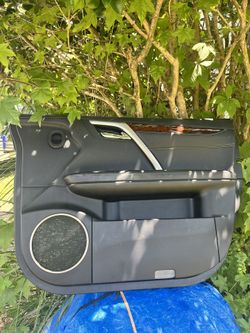 RX 350 Door Panel