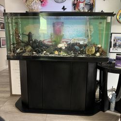 70 Gallon Tank With Stand 