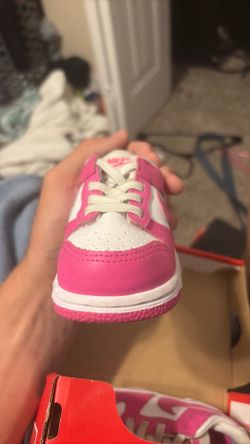 Nike dunk low (TIDE)