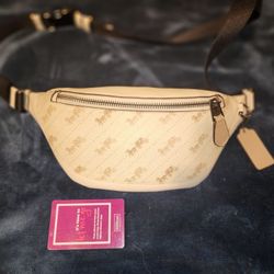 Authentic COACH Fanny