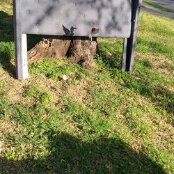 Cavesera para cama matrimonial  como nueva