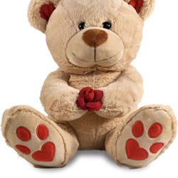 Teddy Bear 10inch