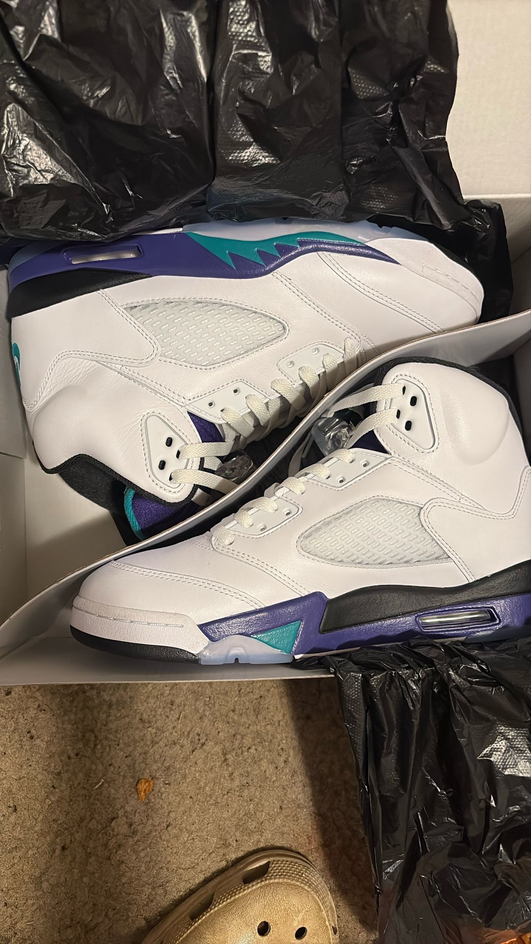 jordan grape 5s SIZE 10