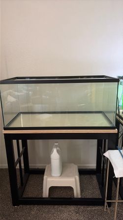 Imaginatarium aquarium