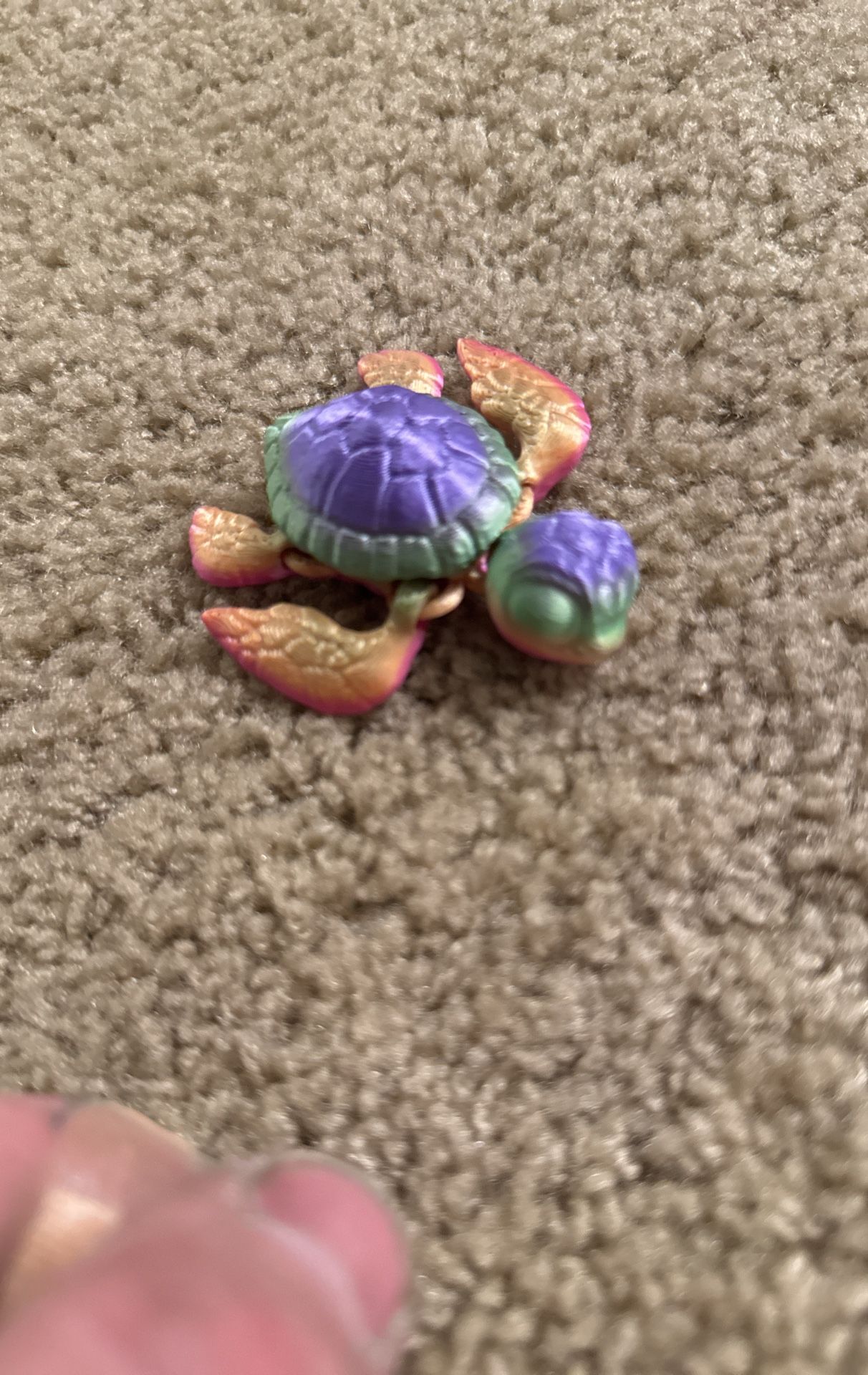 Sea Turtle