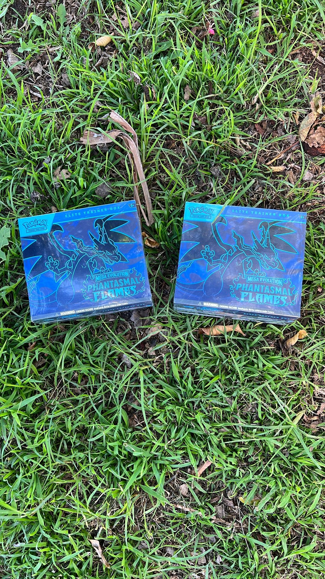 Pokémon Mega Evolutions Phantasmal Flames