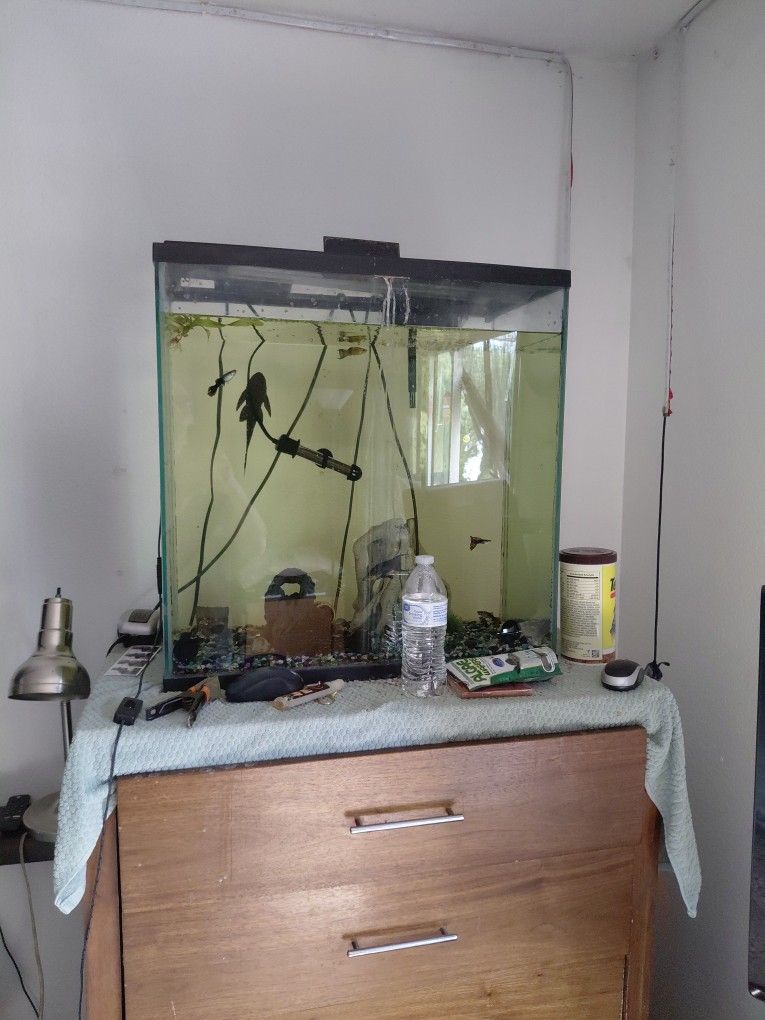 2 Fish Tanks And Equipment