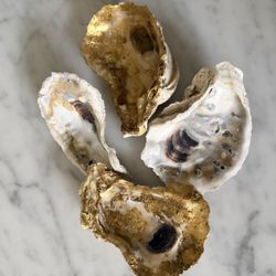 Sea Shells Clam Shells Painted accent Gold