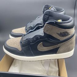 DS Sz 10 Palomino Jordan 1 High