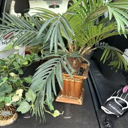 fake plants 