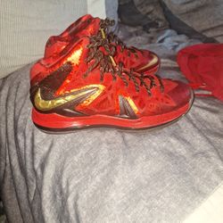 Lebron James Basketball Shoe