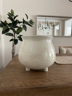 Plant Pot