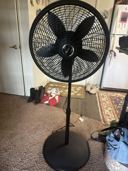 Lasko Fan Extends