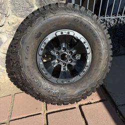Raptor spare 
