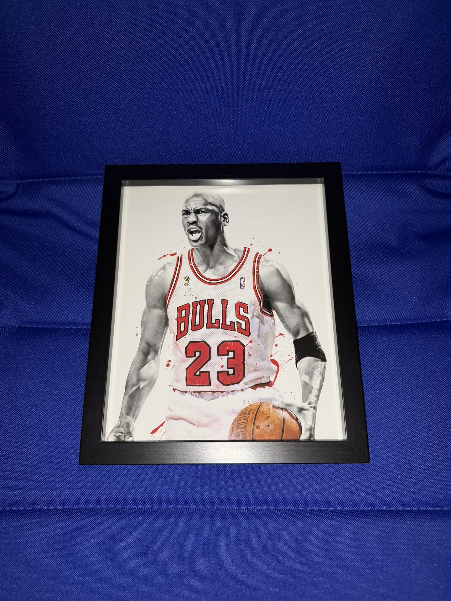Michael Jordan Framed Photo