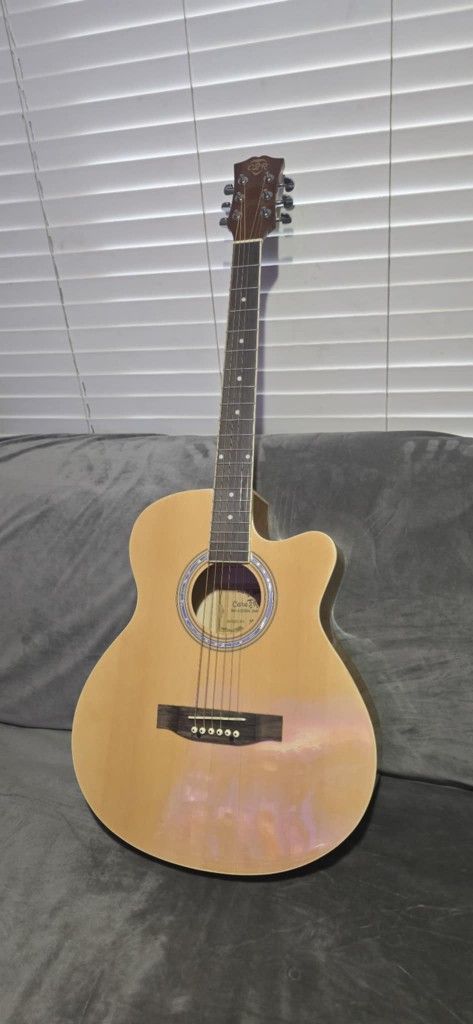 ACOUSTIC GUITAR $79