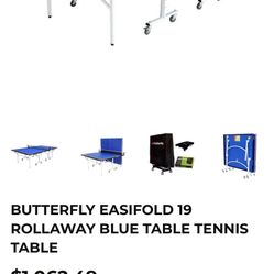 Table Tennis Ping Pong 