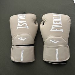 Everlast Boxing Glove Elite 12oz