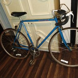 Selling a 10 speed Schwinn traveler