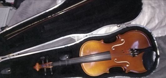 Violin