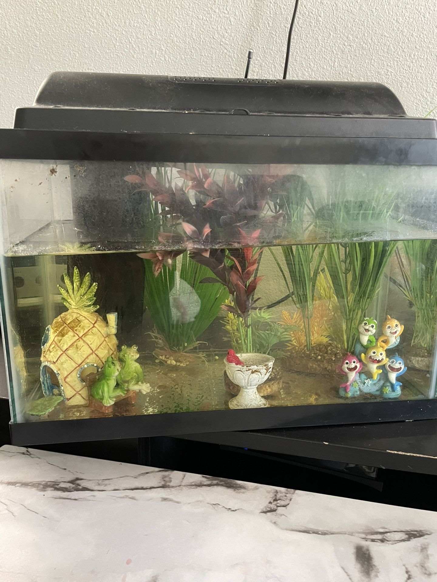 Small Fish Tank