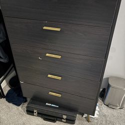 Chest