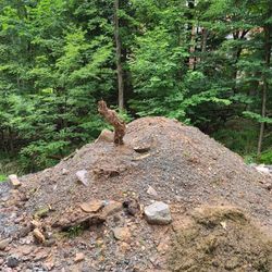 Looking for fill dirt