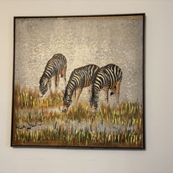 Zebra picture