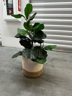 Cute decor