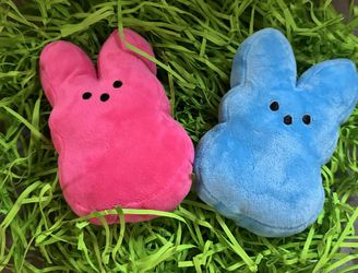 Personalized Plush Peeps