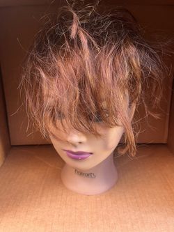 Mannequin head
