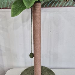 Cat Scratcher 