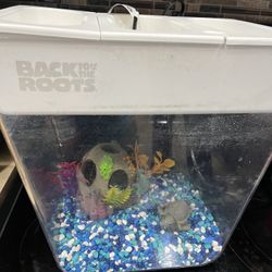 Back To The Roots Fish Tank