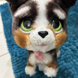 FurReql Friends Walk-A-Lots Bernedoodle Pup 