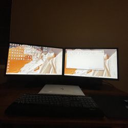 LG Monitors 24 Inches