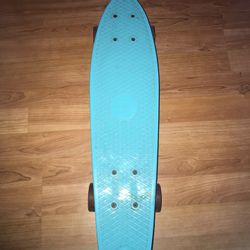 Penny Board Skateboard