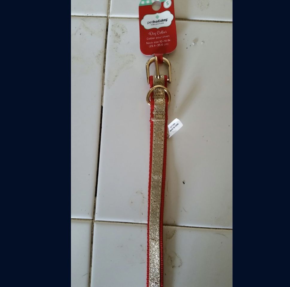 Dog Collar