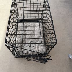 Small Dog Kennel