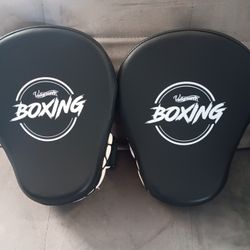 Boxing Mitts