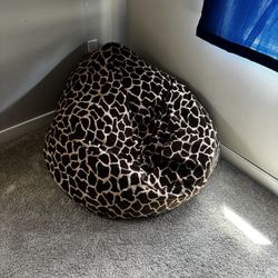 Bean Bag chair 