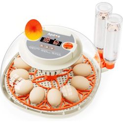 APDOE 12  EGG INCUBATOR 