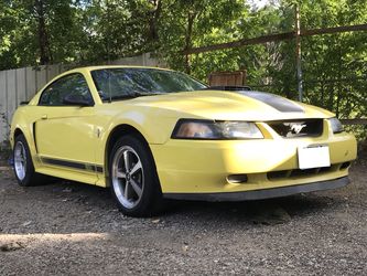 03 Ford Mustang Mach 1 OBO
